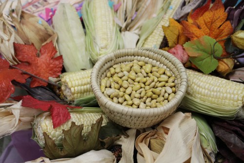 Day of the Dead 2 Copyright Natalia Messer